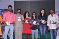 Panchami Audio Function